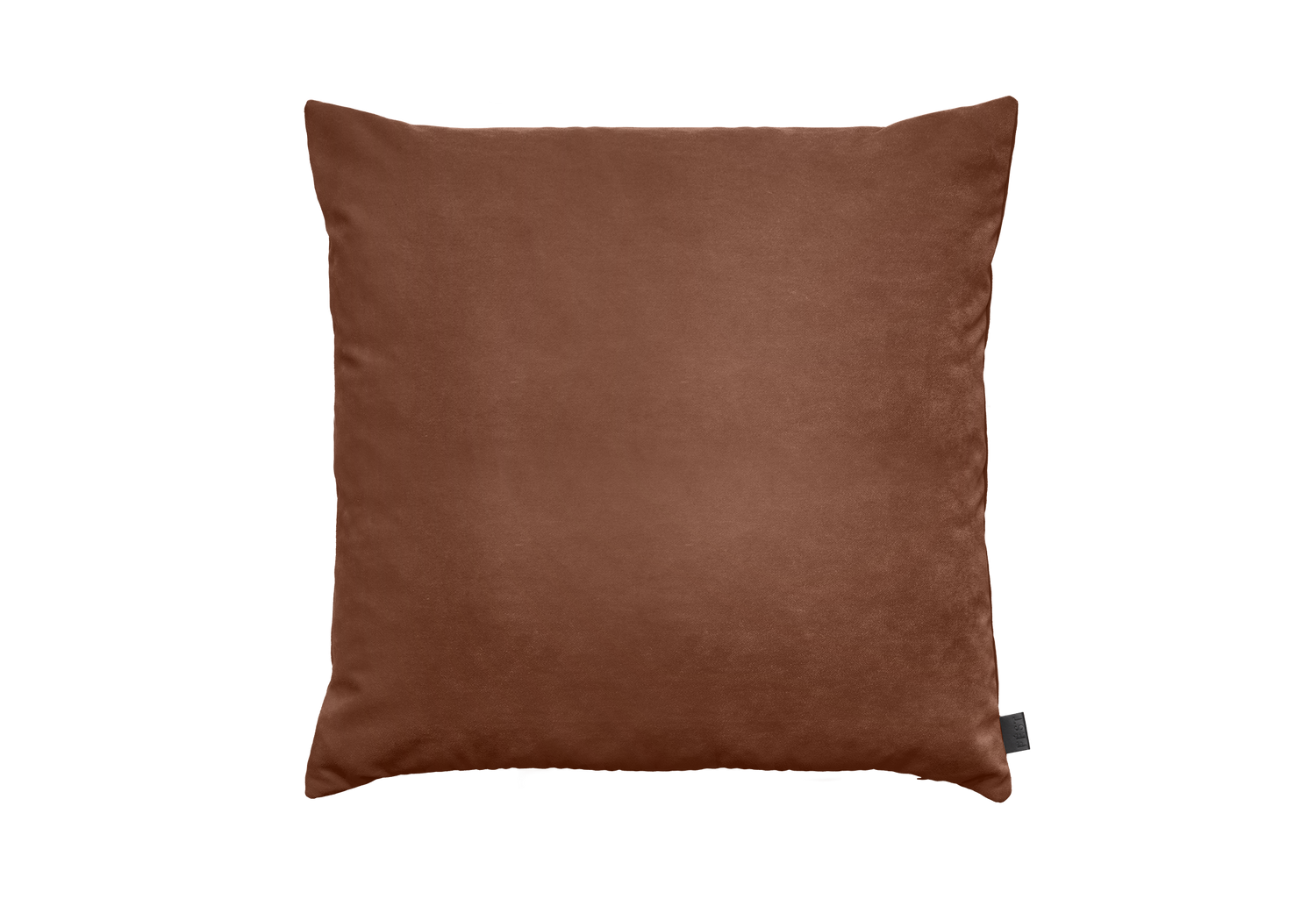 Royal Magnolia - 160