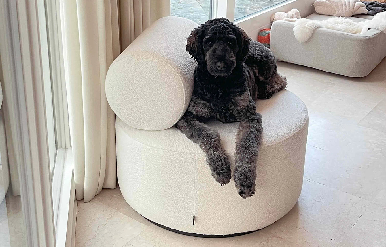 <p>Sinclair lounge chair</p>