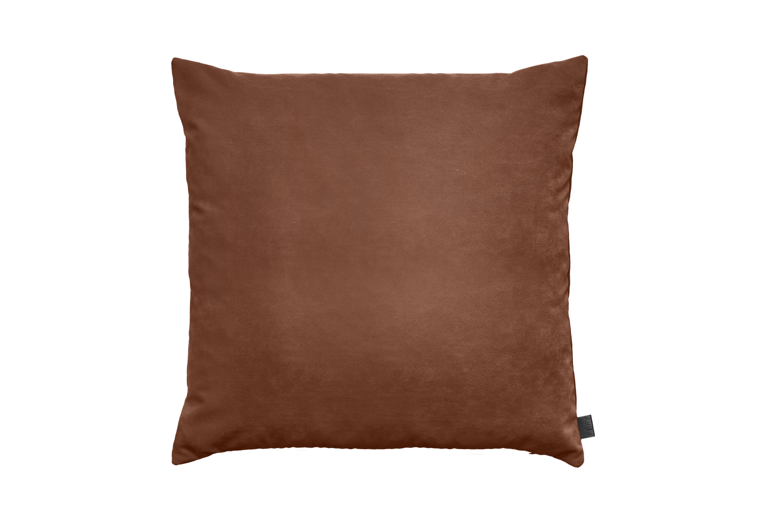 Royal Magnolia - 160